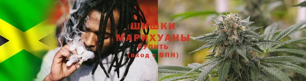 амф Арсеньев