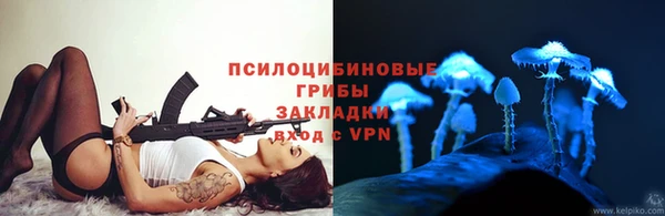 гидропоника Аркадак