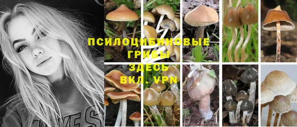 амф Арсеньев