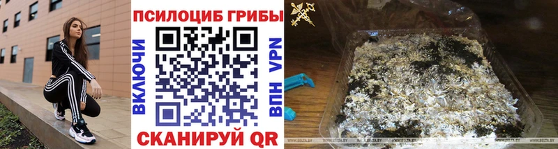 Псилоцибиновые грибы Psilocybine cubensis  hydra сайт  Таруса 